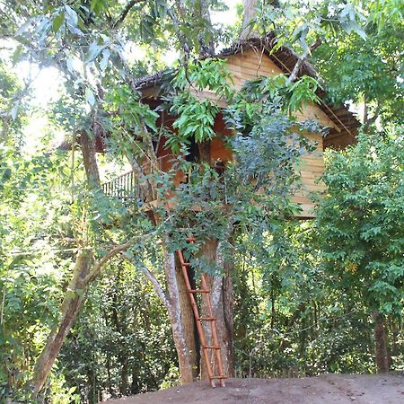Вилла Tree House-Midigama Велигама Экстерьер фото