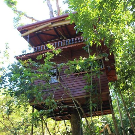Вилла Tree House-Midigama Велигама Экстерьер фото