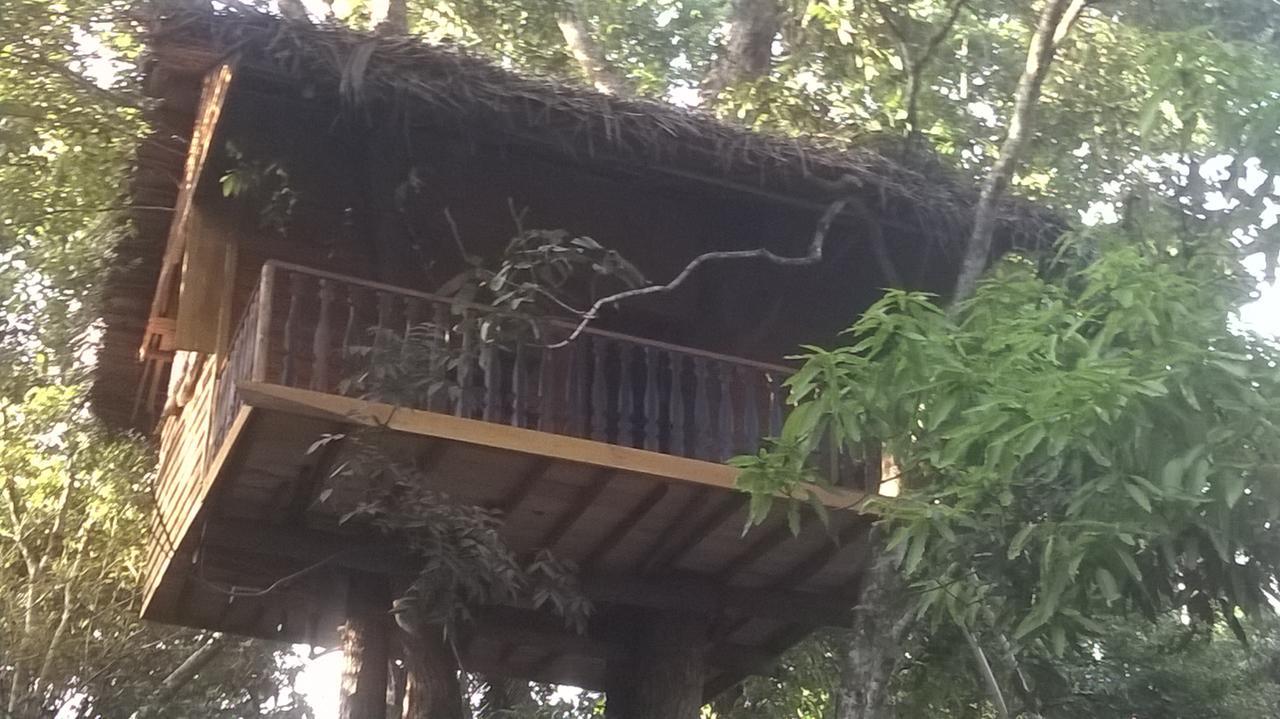 Вилла Tree House-Midigama Велигама Экстерьер фото