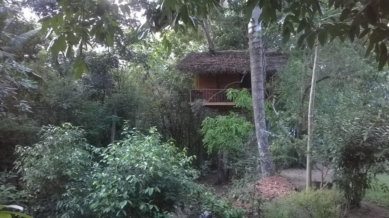 Вилла Tree House-Midigama Велигама Экстерьер фото