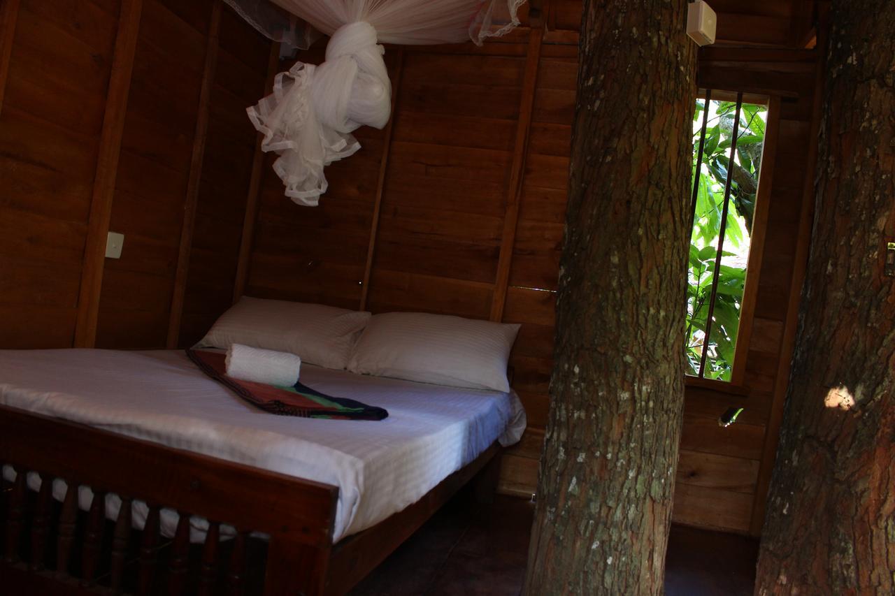 Вилла Tree House-Midigama Велигама Экстерьер фото