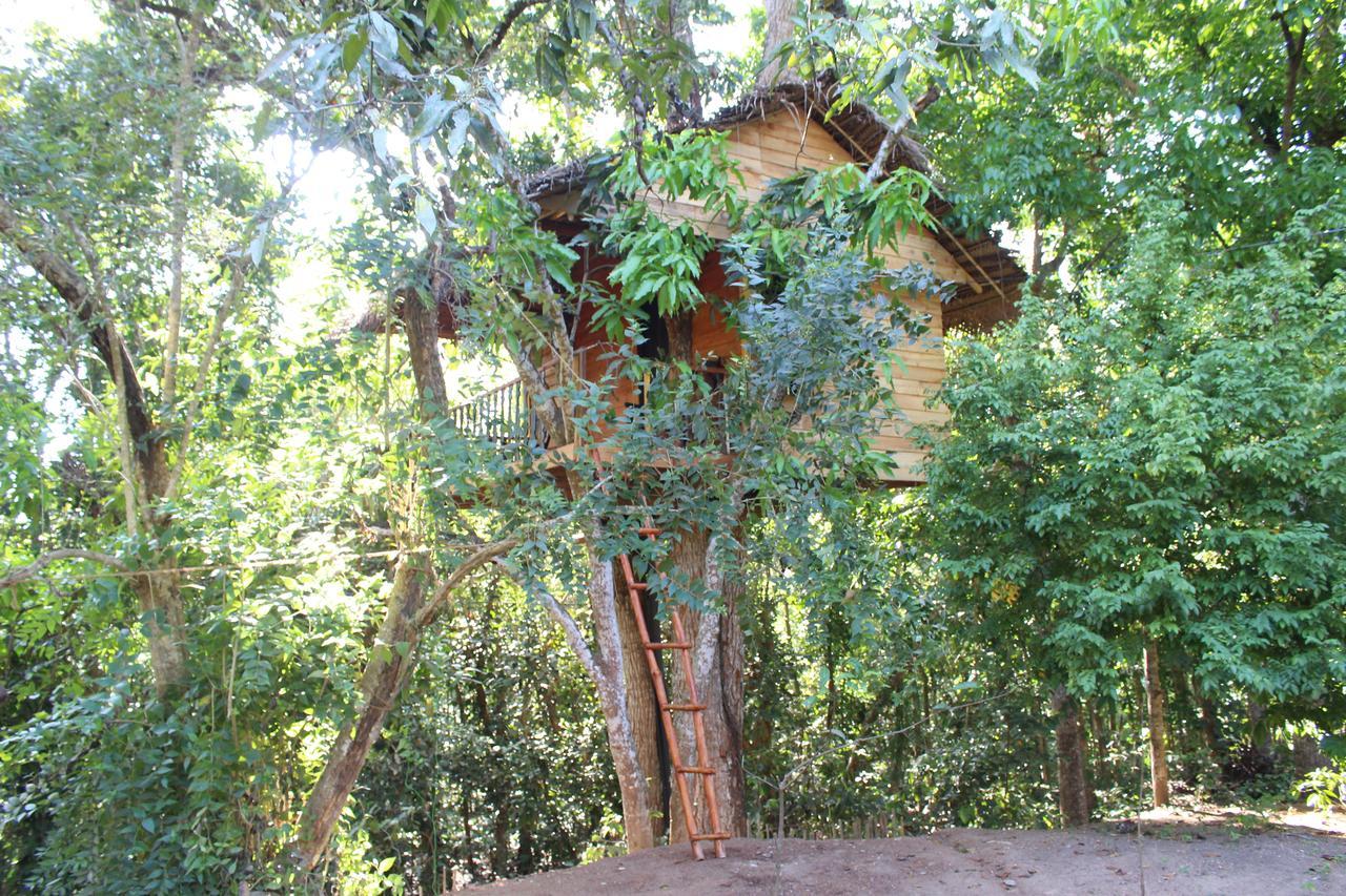 Вилла Tree House-Midigama Велигама Экстерьер фото
