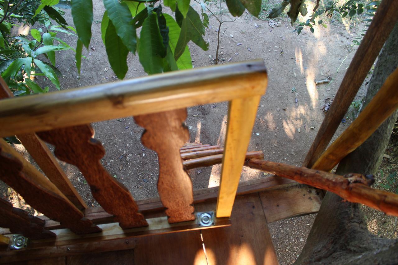 Вилла Tree House-Midigama Велигама Экстерьер фото