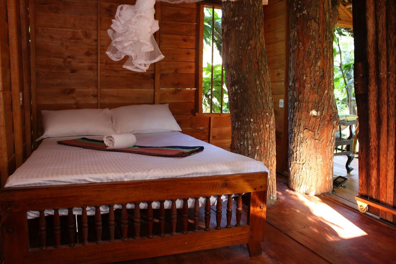 Вилла Tree House-Midigama Велигама Экстерьер фото