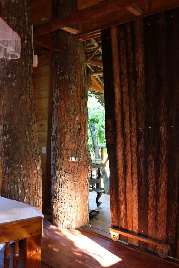 Вилла Tree House-Midigama Велигама Экстерьер фото