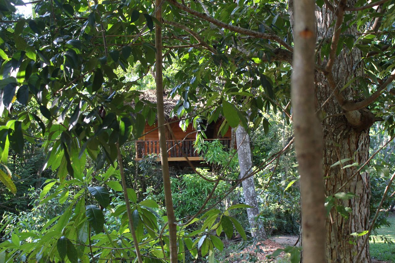 Вилла Tree House-Midigama Велигама Экстерьер фото