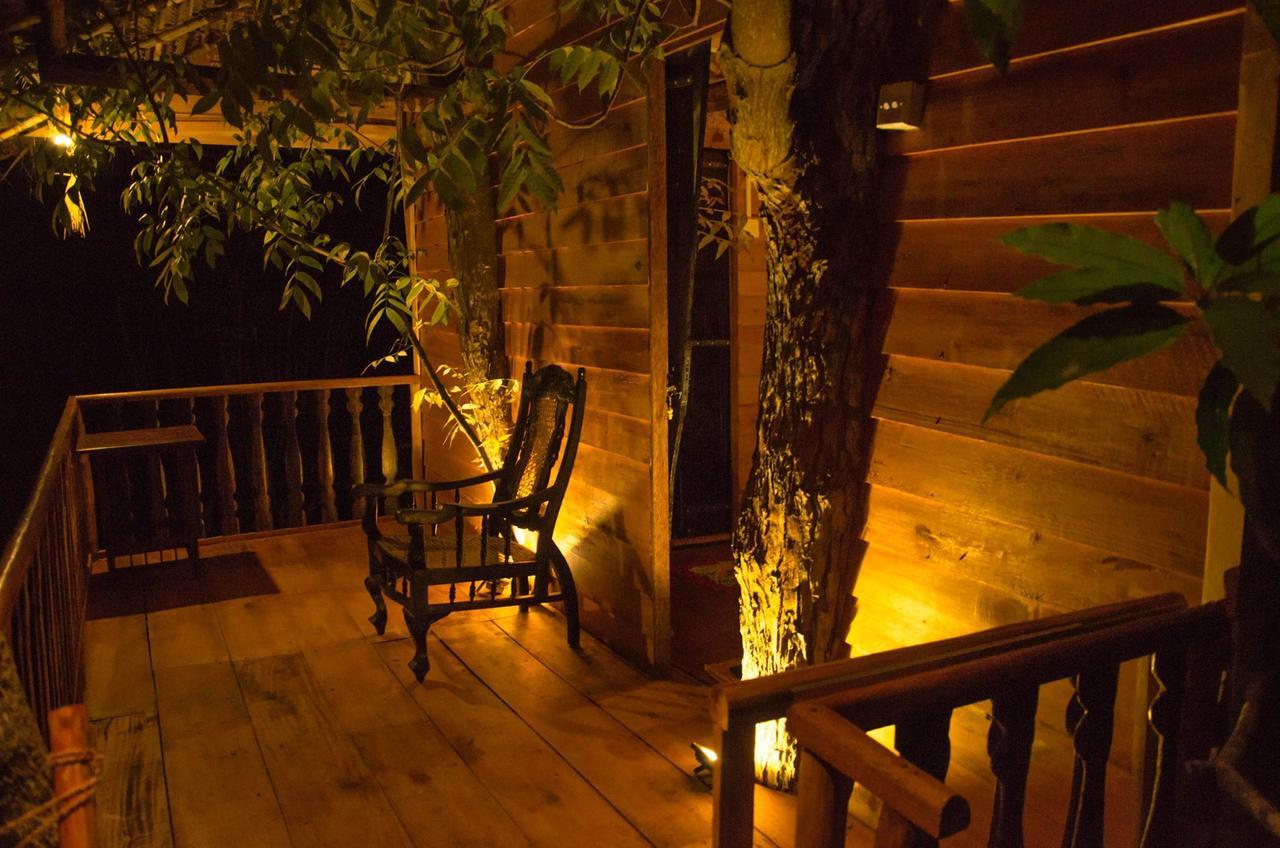 Вилла Tree House-Midigama Велигама Экстерьер фото