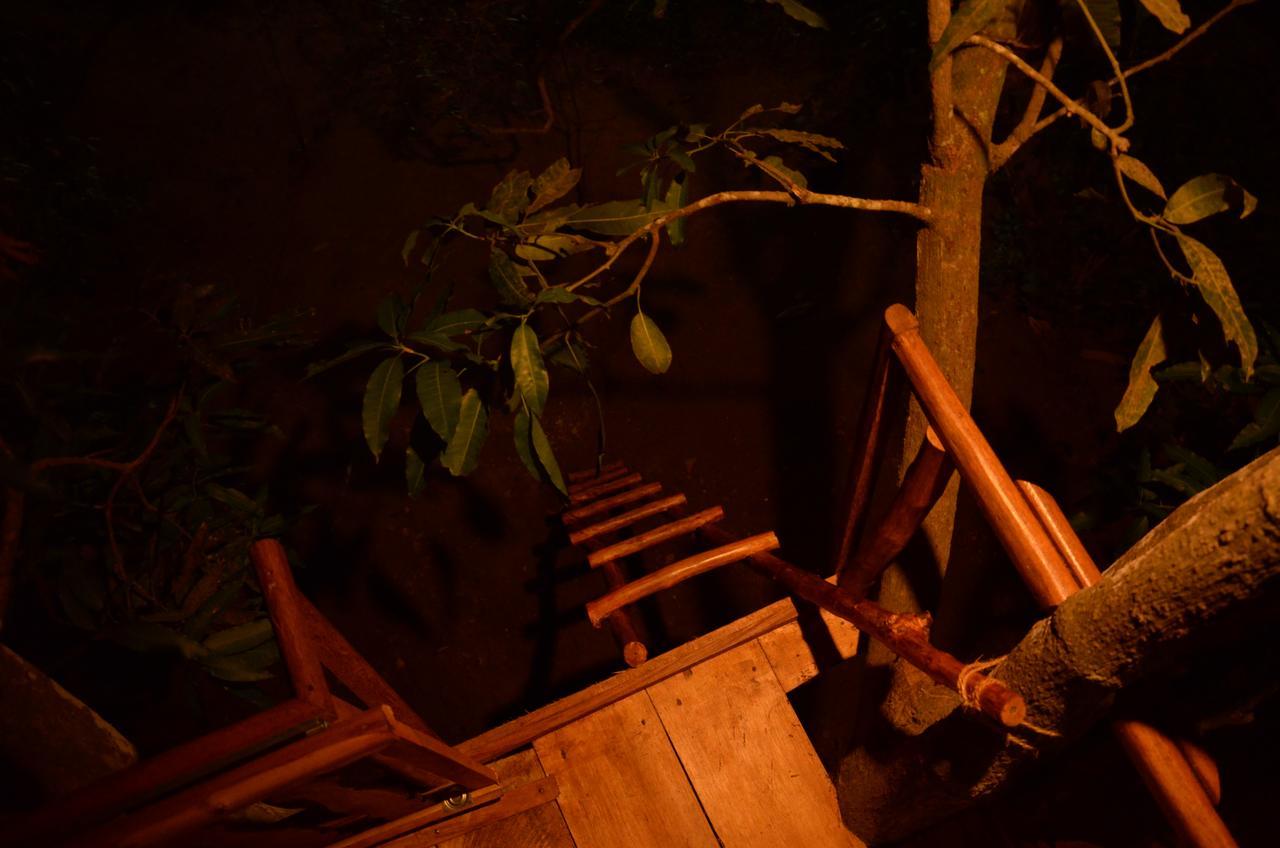 Вилла Tree House-Midigama Велигама Экстерьер фото