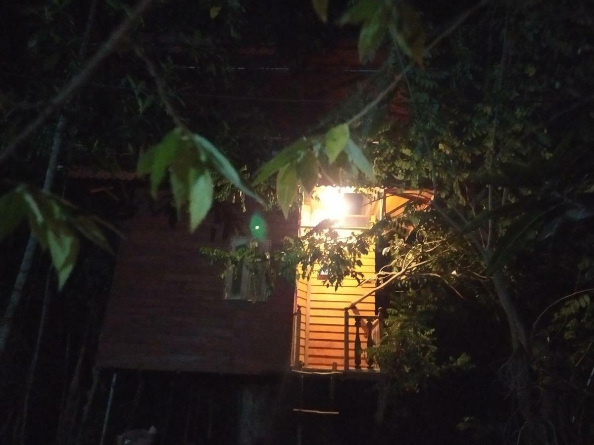 Вилла Tree House-Midigama Велигама Экстерьер фото