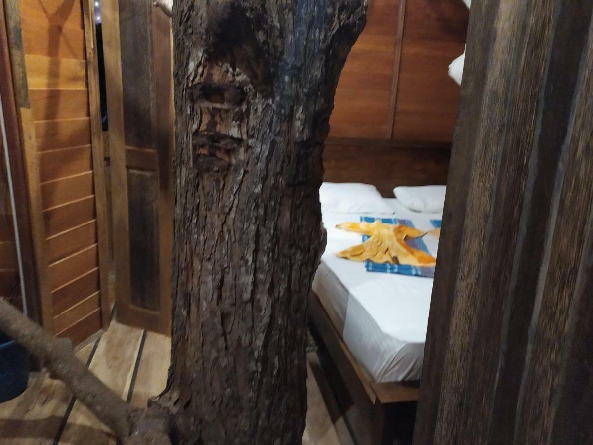 Вилла Tree House-Midigama Велигама Экстерьер фото