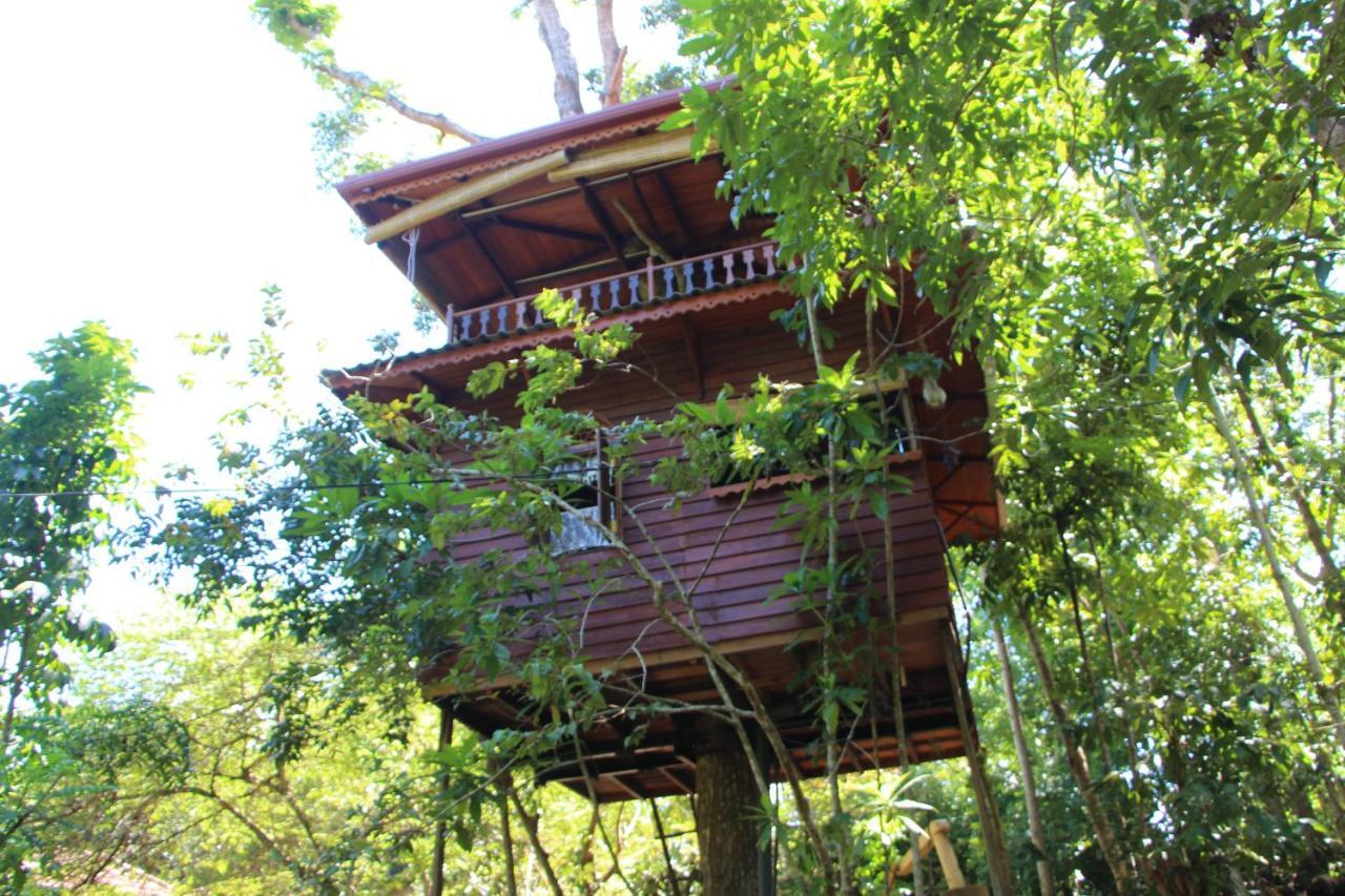 Вилла Tree House-Midigama Велигама Экстерьер фото