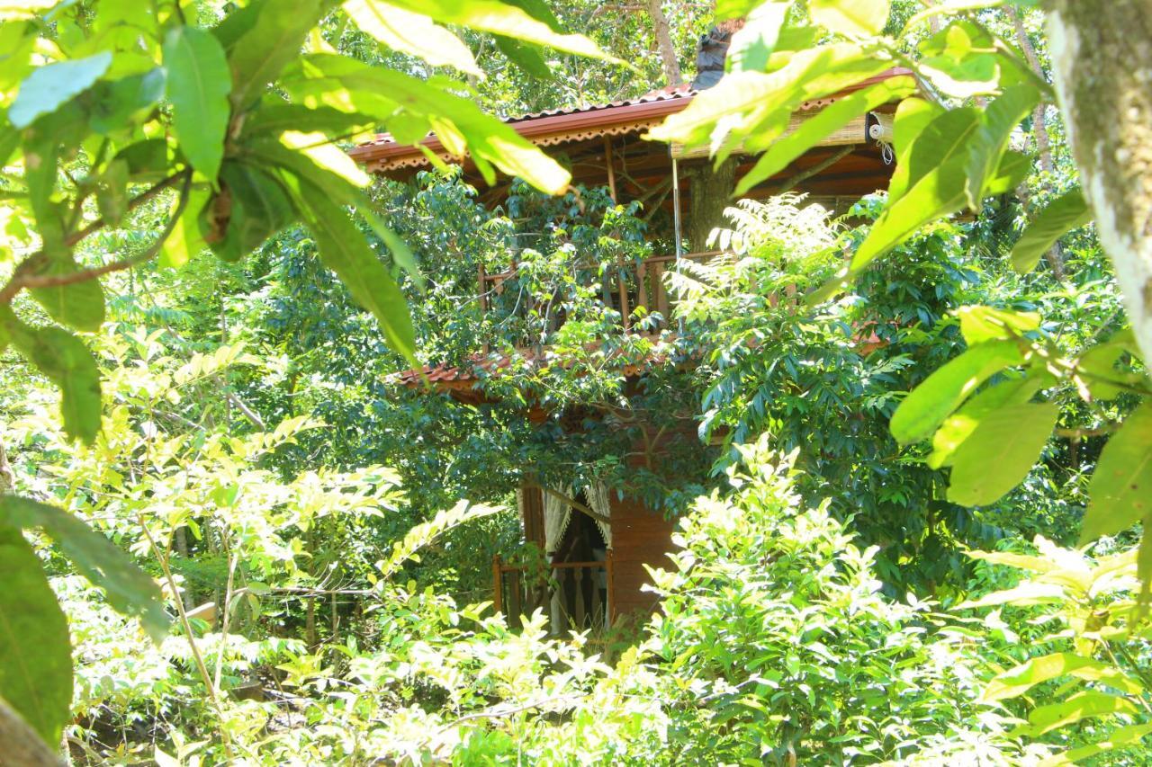 Вилла Tree House-Midigama Велигама Экстерьер фото