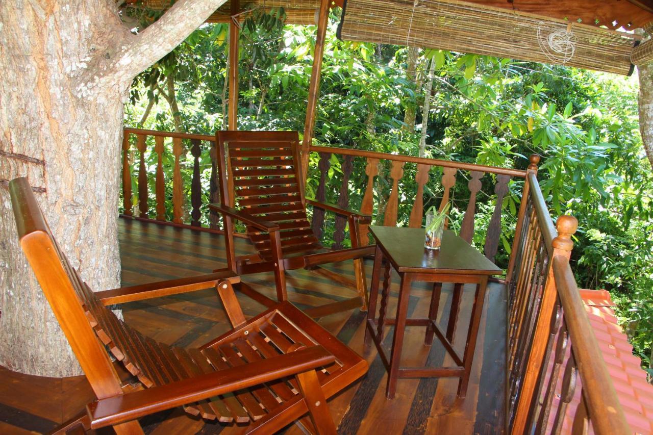 Вилла Tree House-Midigama Велигама Экстерьер фото