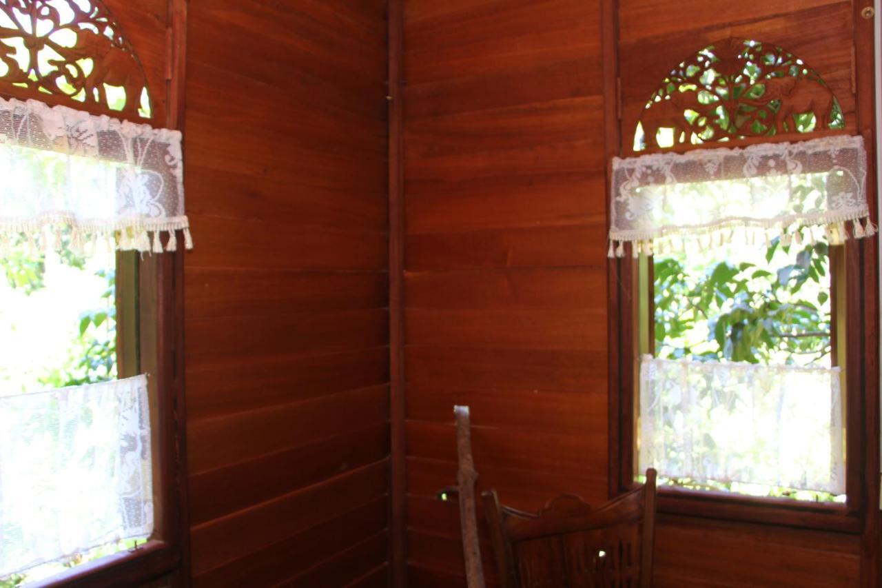 Вилла Tree House-Midigama Велигама Экстерьер фото