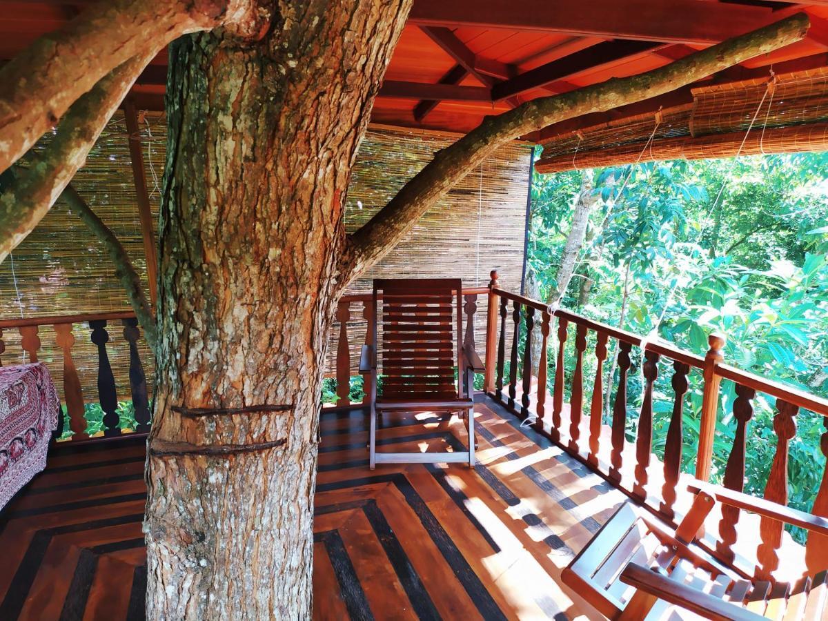 Вилла Tree House-Midigama Велигама Экстерьер фото