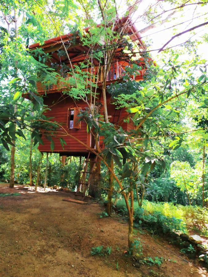 Вилла Tree House-Midigama Велигама Экстерьер фото