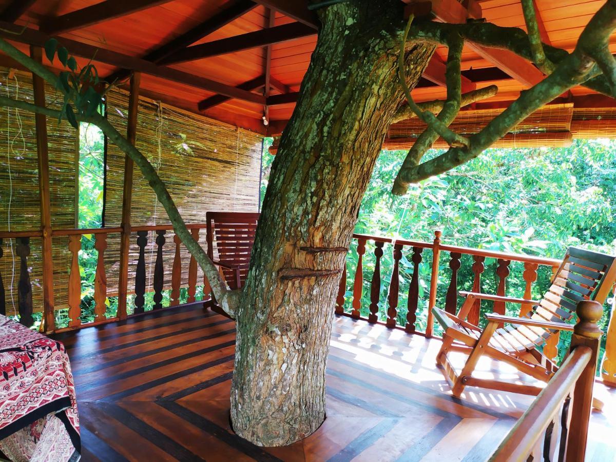 Вилла Tree House-Midigama Велигама Экстерьер фото